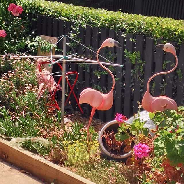 Flamingo Ipswich yard decor