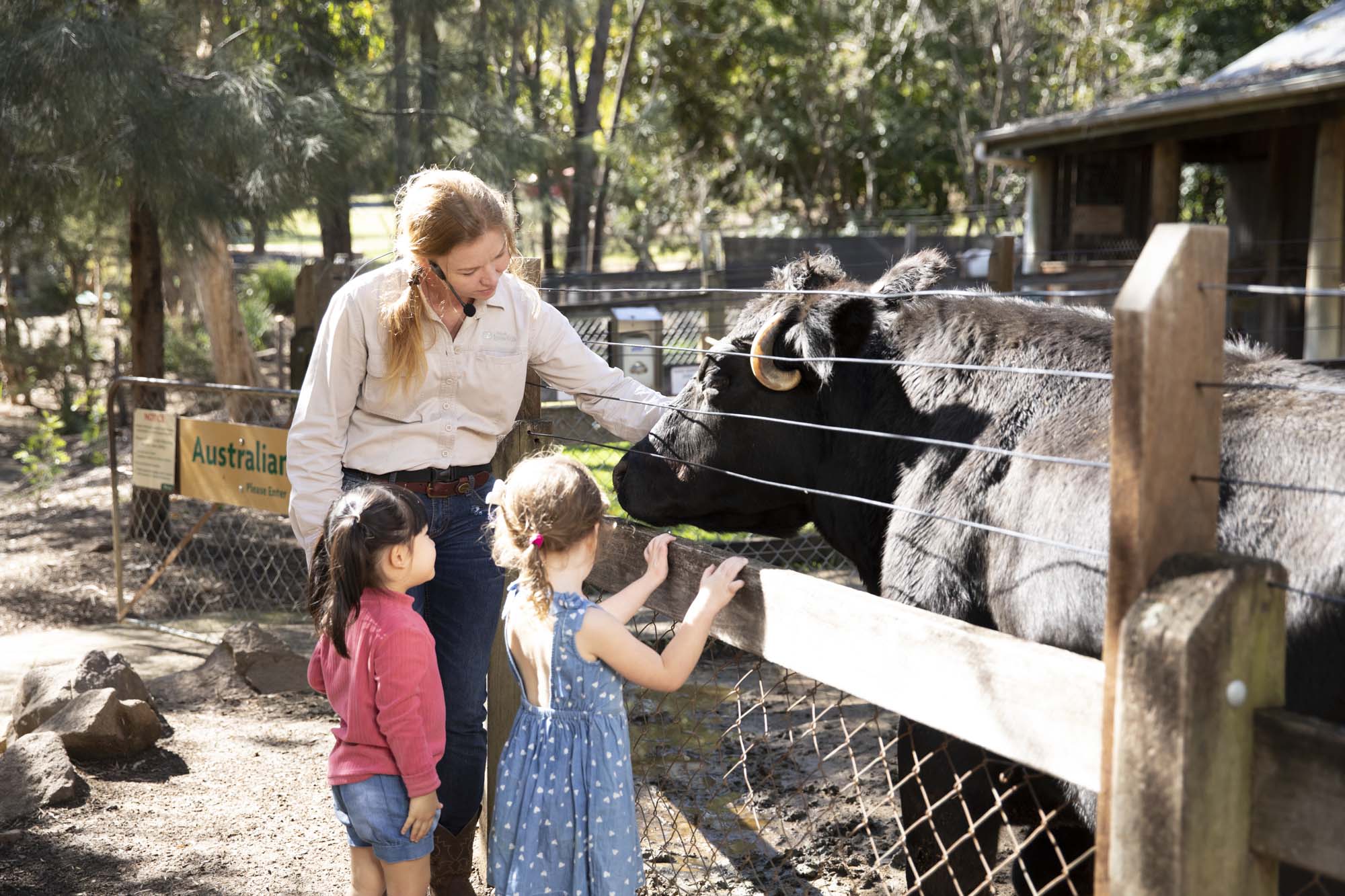 Animal encounters at the Ipswich Nature Centre