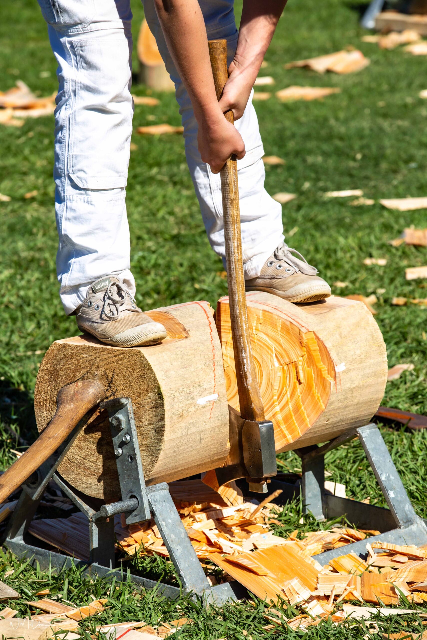 Woodchopping competition