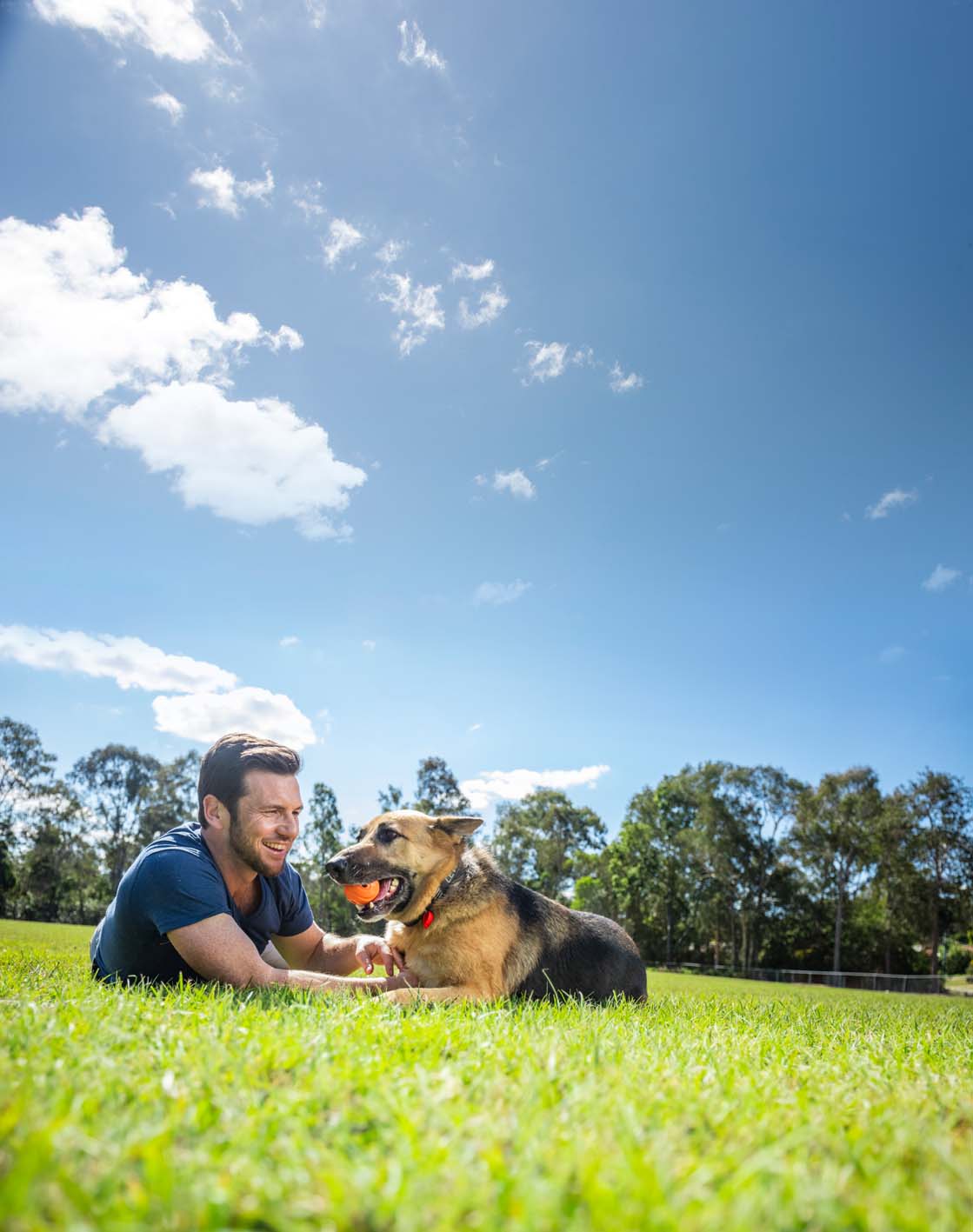 Take your pup to a dog park in Ipswich