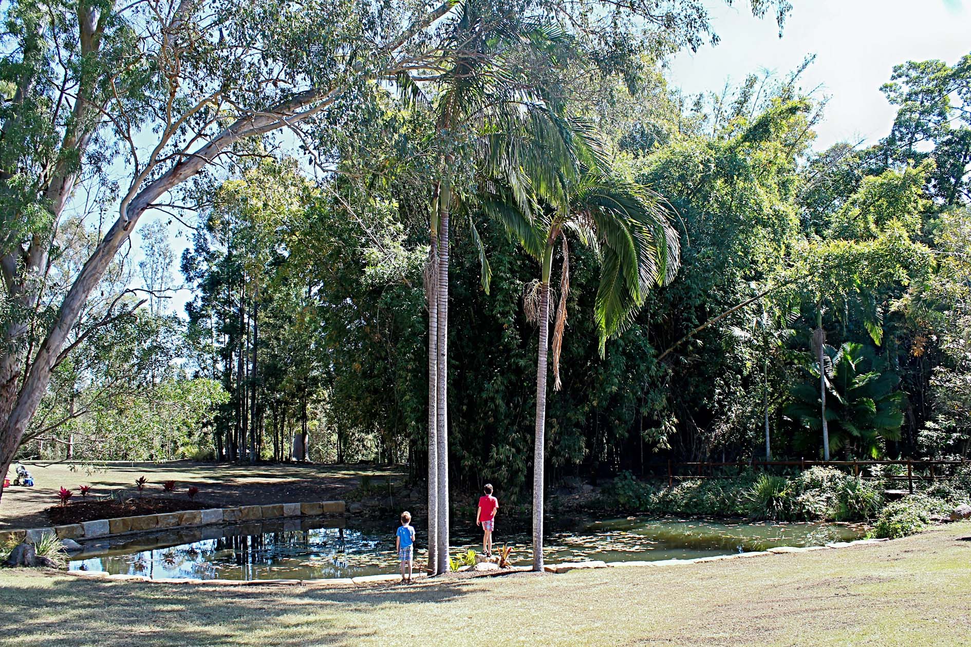 Brisbane Family Explorers at Kholo Gardens