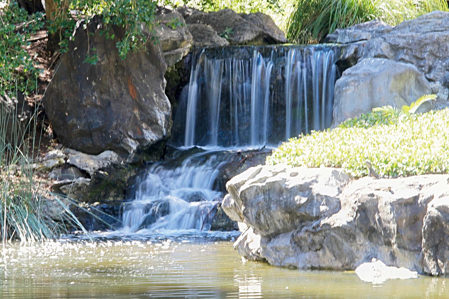 Brisbane Family Explorers at Nerima Gardens