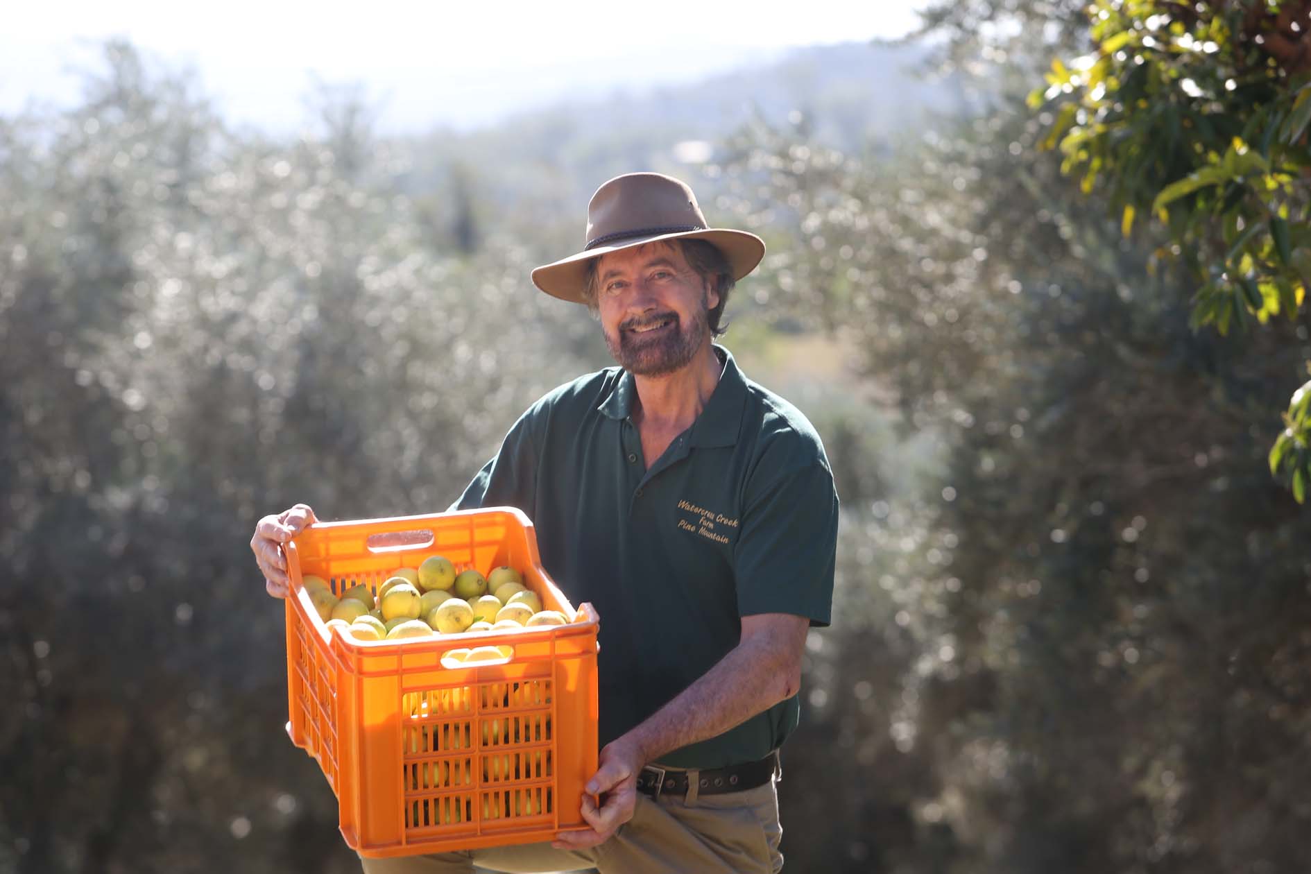 Bernie Mahon from Watercress Olives and Limes