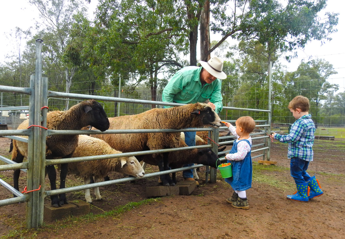 Amazing animal experiences to check out today Discover Ipswich