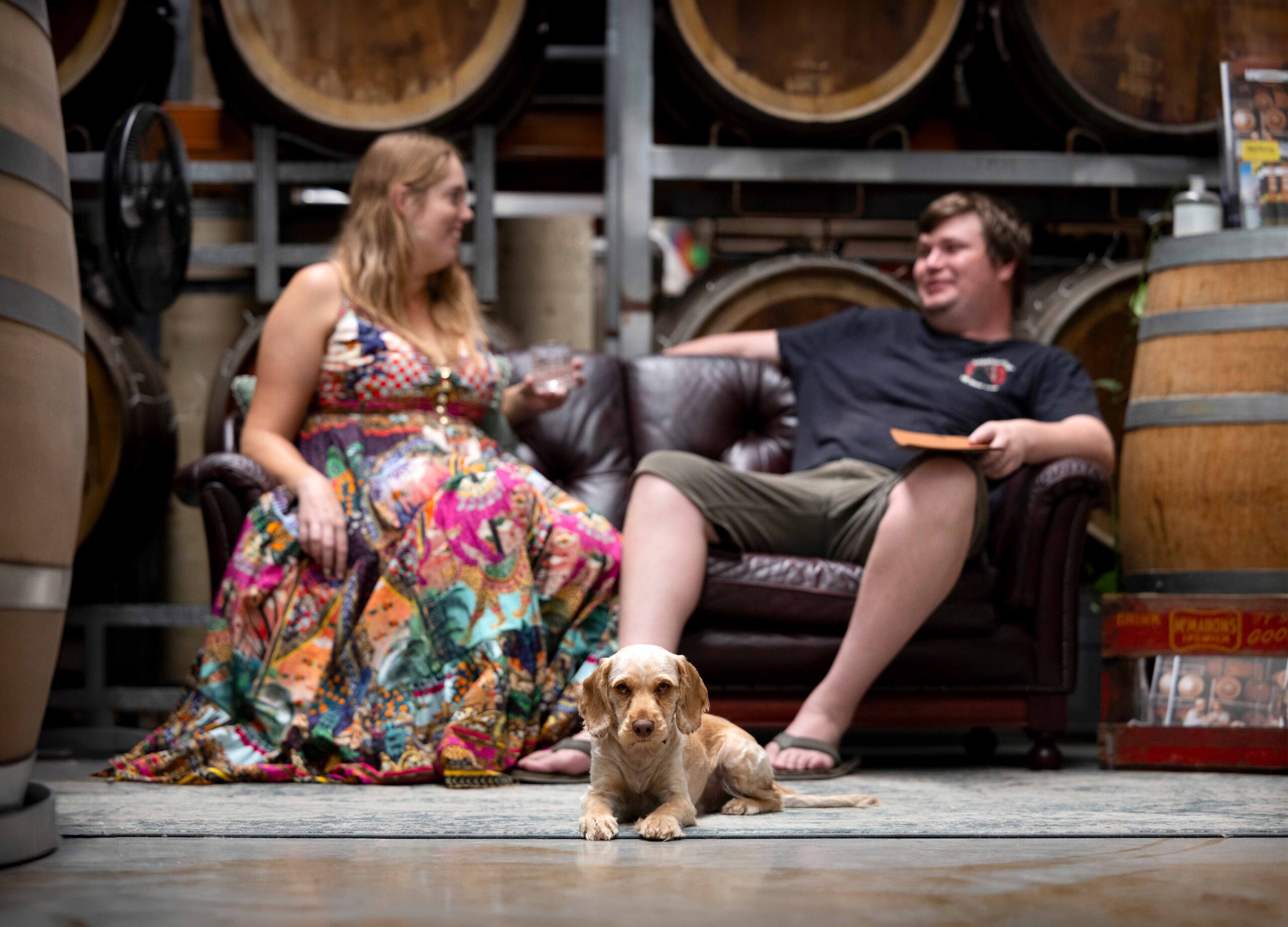 Imbibis Craft Distillery Imbibis Craft Distillery