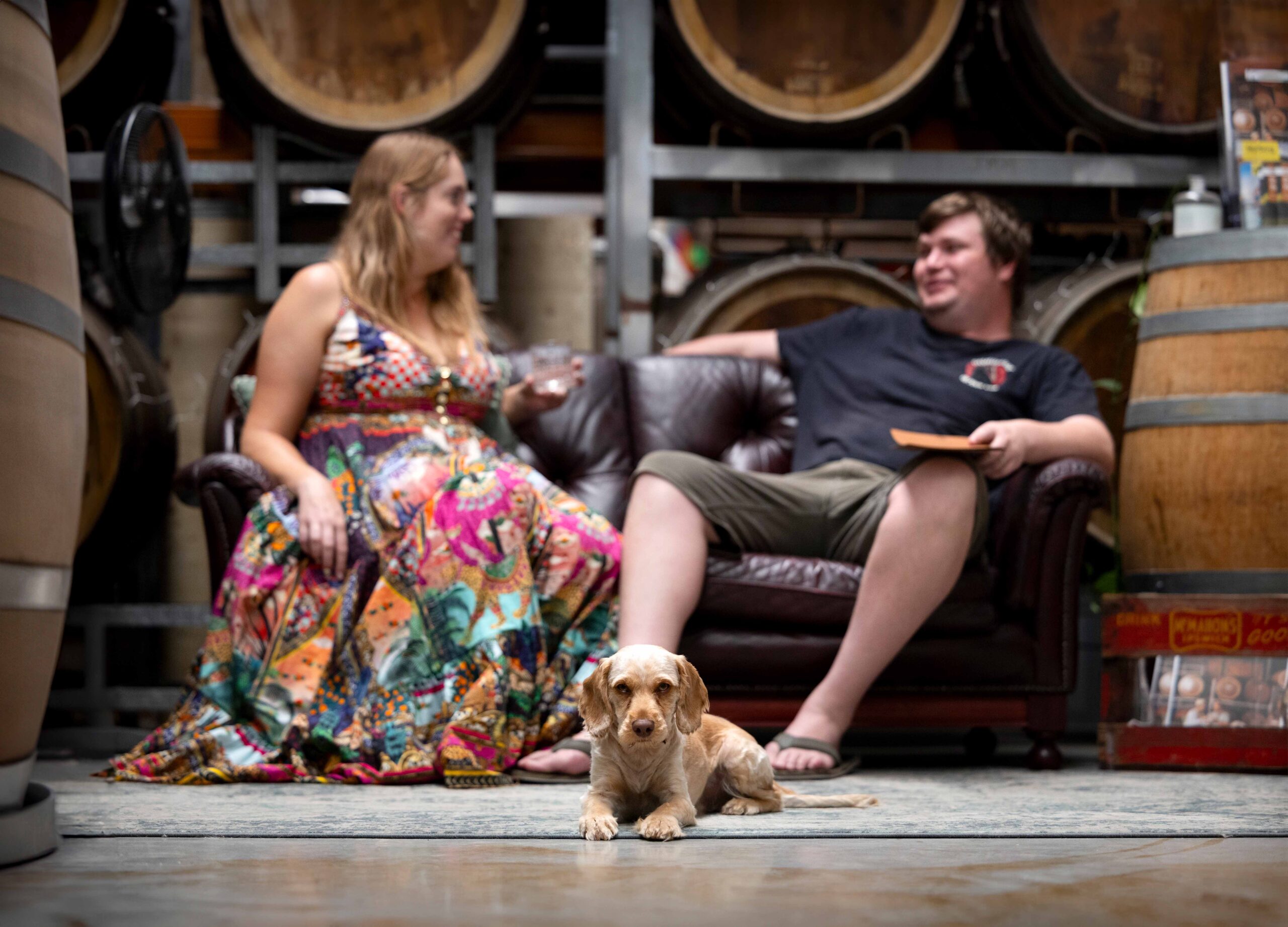 Imbibis Craft Distillery is dog friendly