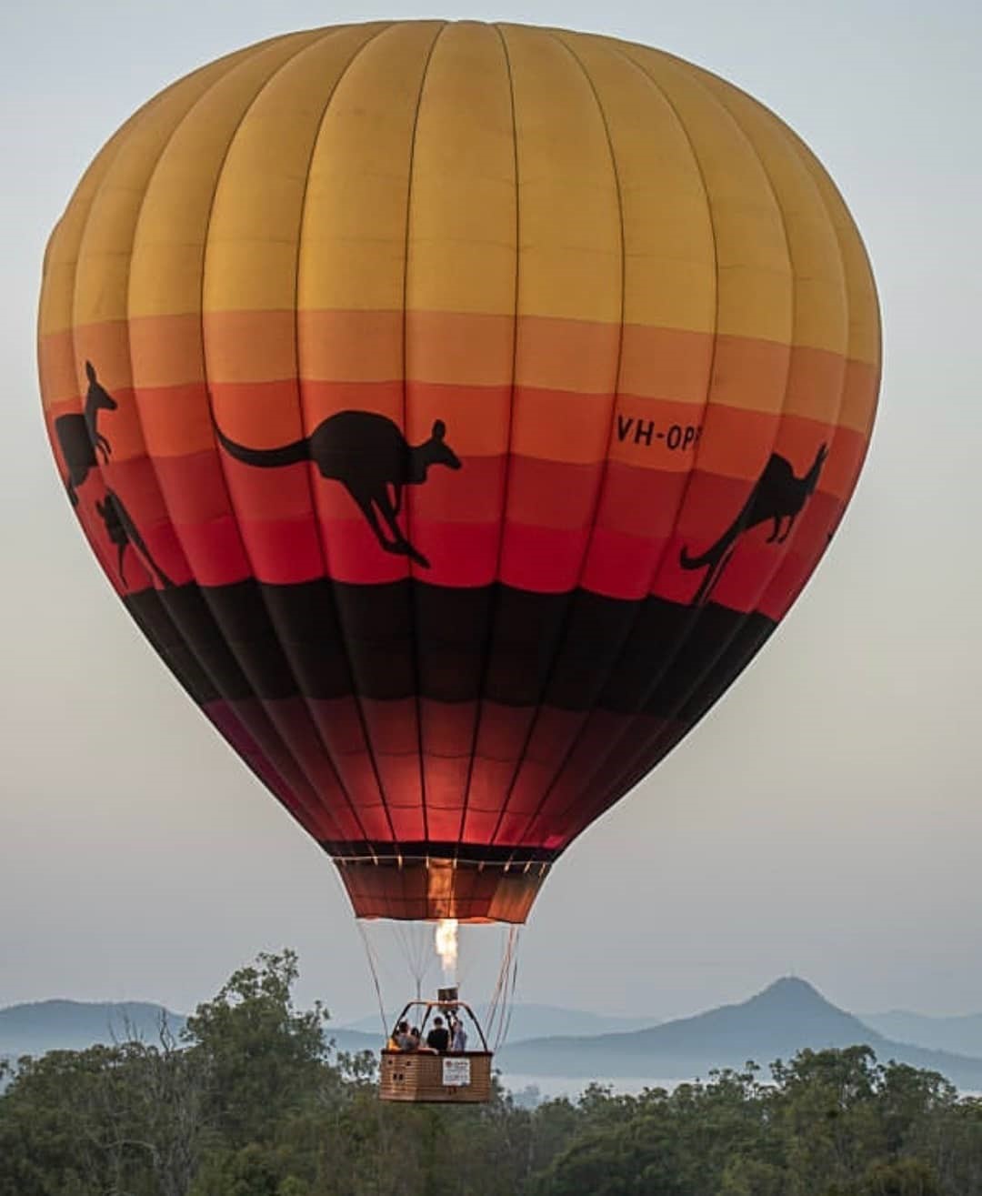 Floating Images Hot Air Balloon Rides