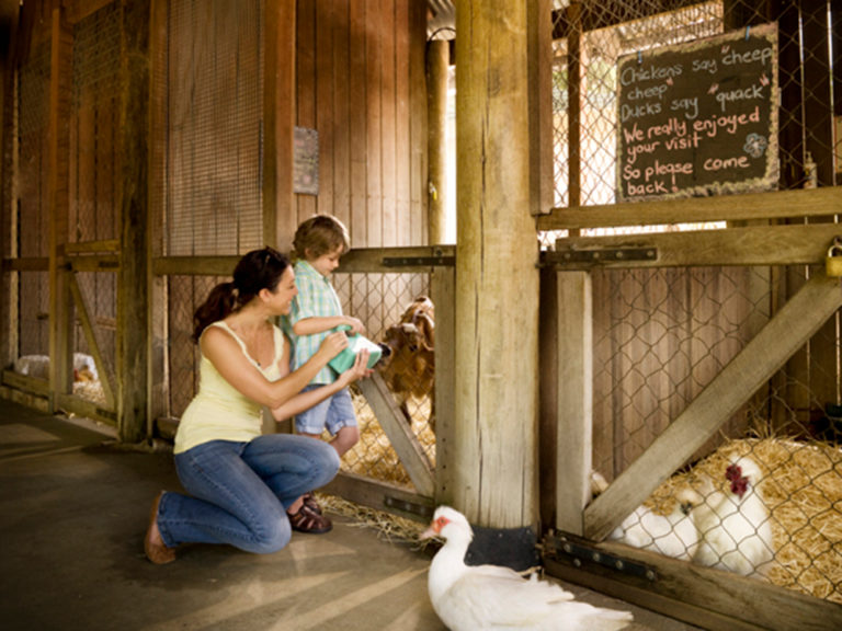 Group040IpswichNatureCentreAnimalEncounters Discover Ipswich