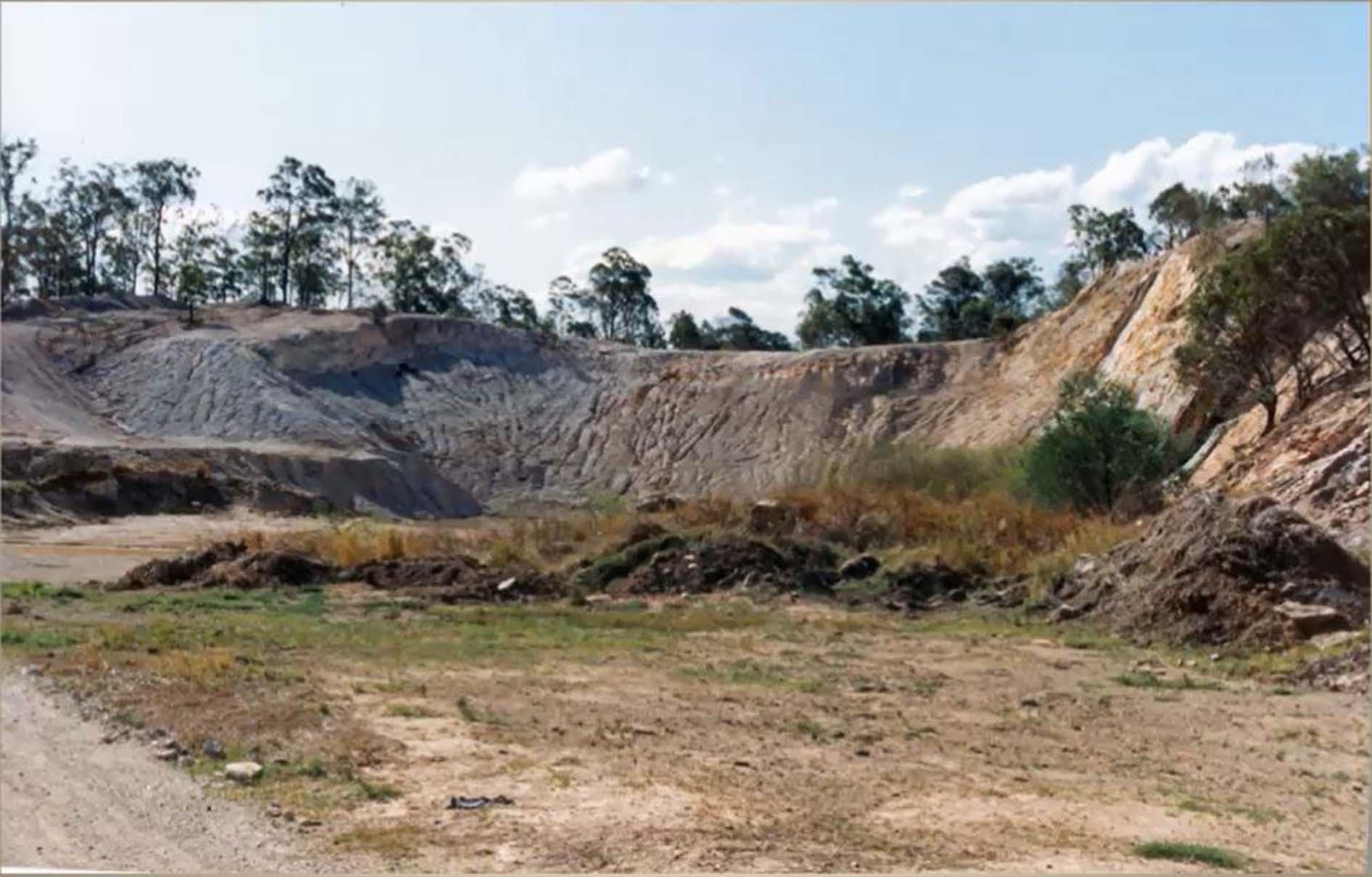 Haig Street Quarry Bushland Reserve, 39 High Street, Brassall, Ipswich, 1991: Ipswich Libraries (spydus.com)