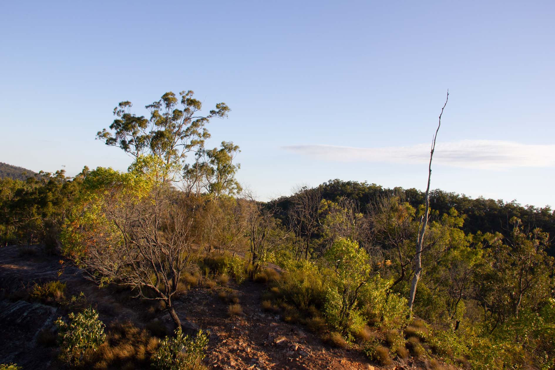 White Rock Conservation Estate