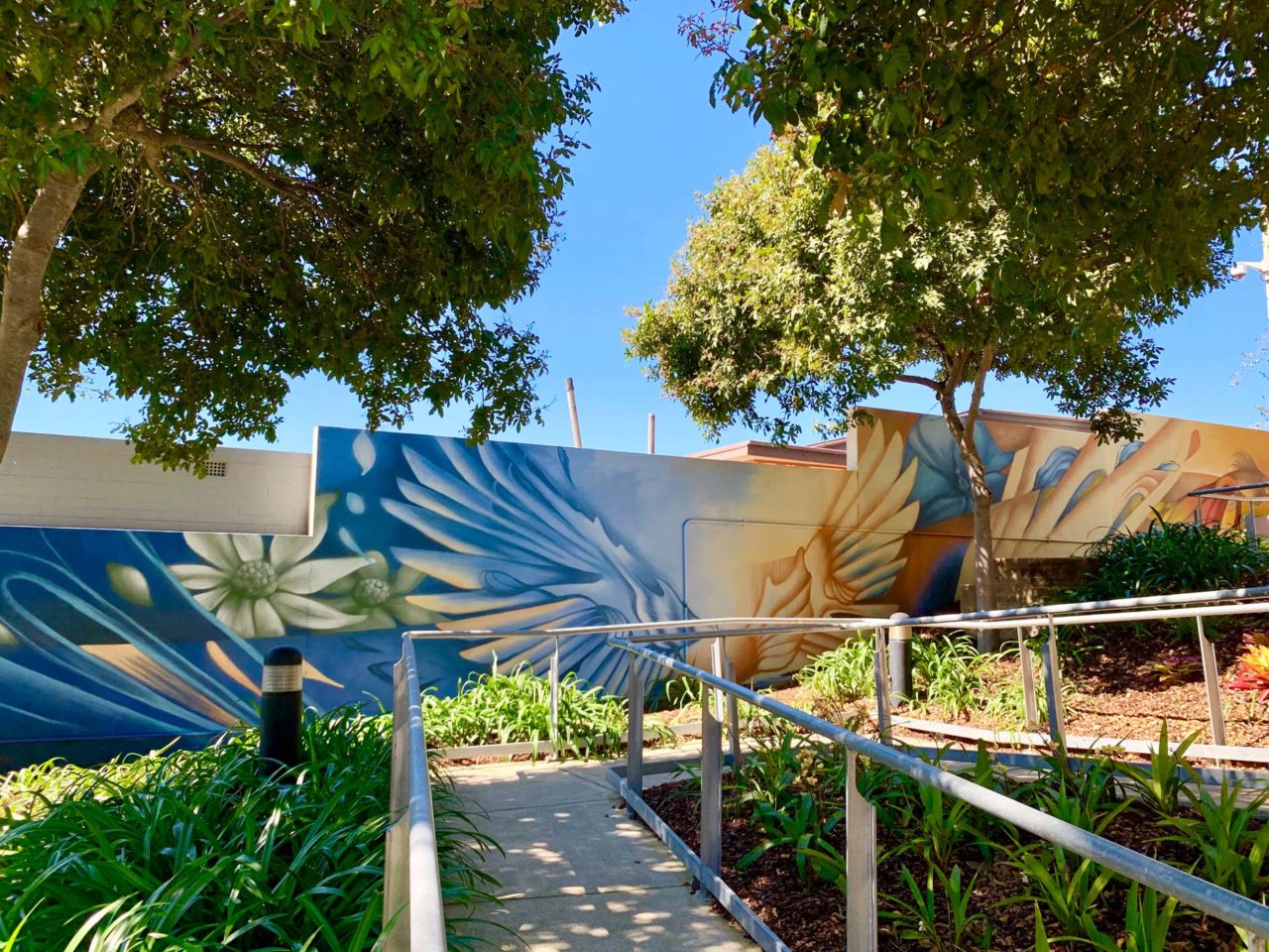 A walking tour of Ipswich street art Discover Ipswich