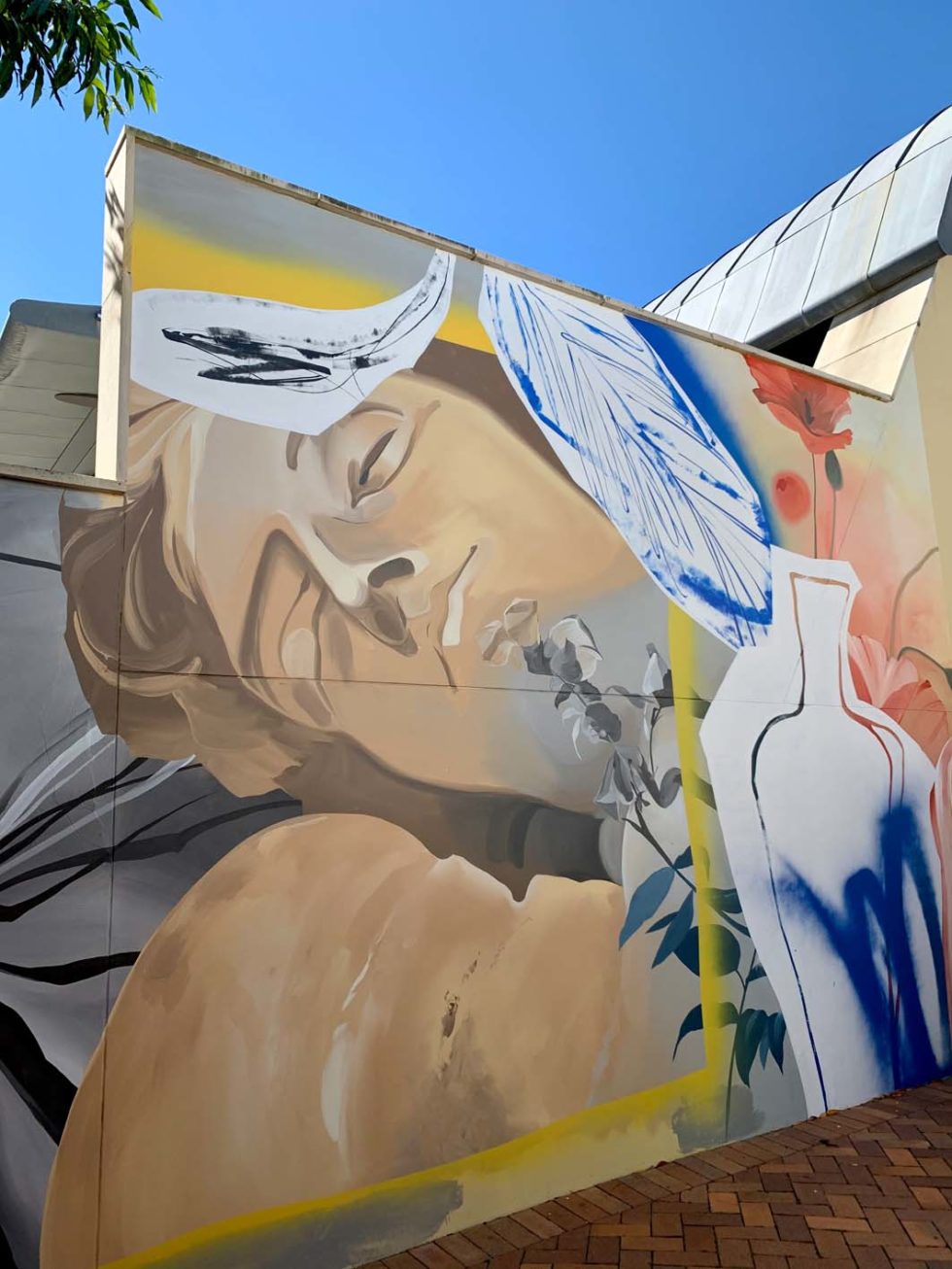 A walking tour of Ipswich street art Discover Ipswich