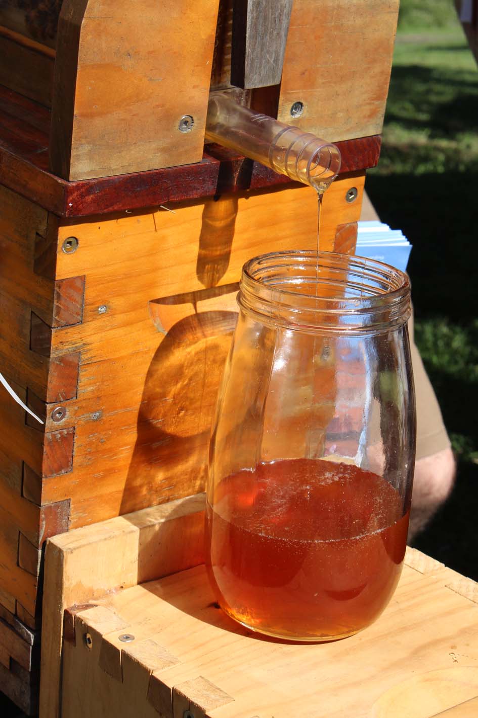 Honey at the Watercress Creek Olive Festival