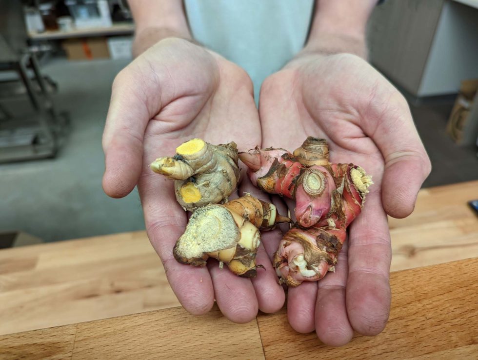 Imbibis Ipswich’s own awardwinning gin and distillery Discover Ipswich