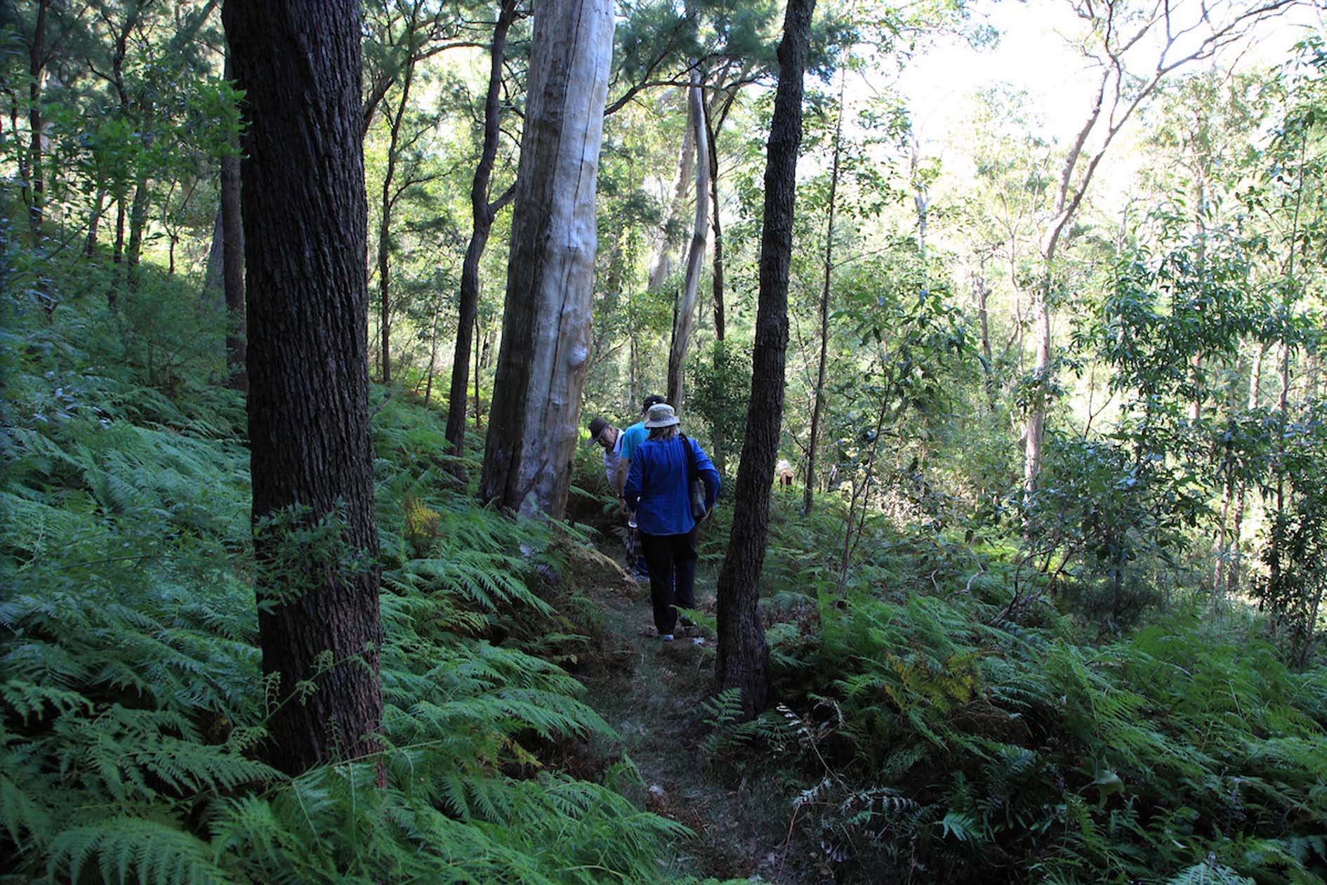 New guided walks at Ivory's Rock