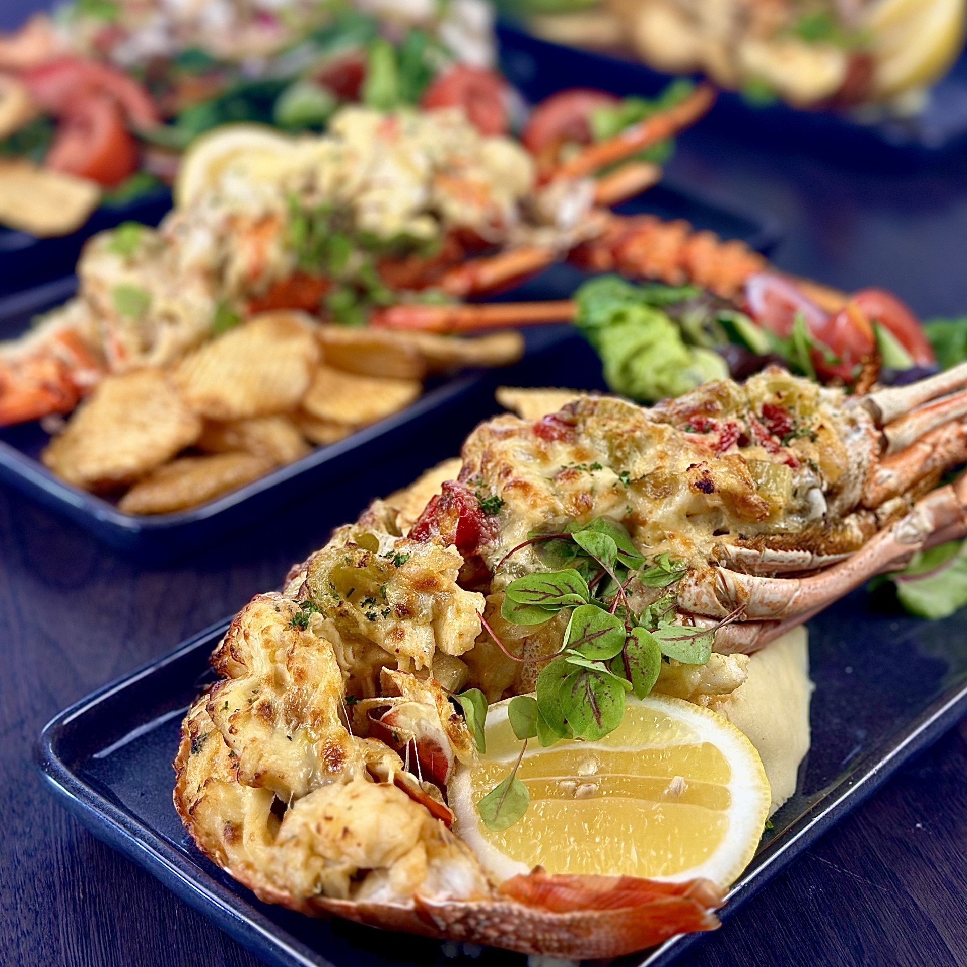 Jets MCup Lobster special Jets MCup Lobster special