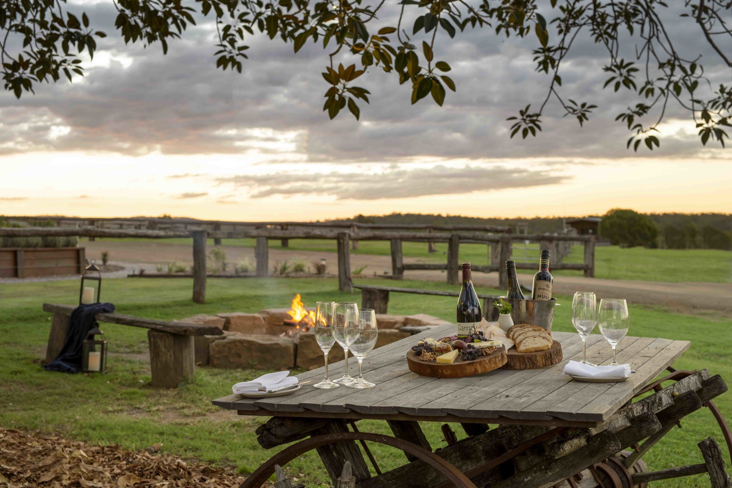 Wine and cheese tasting at Spicers Hidden Vale