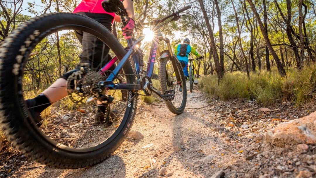 5 reasons why you should mountain bike in Ipswich Discover Ipswich