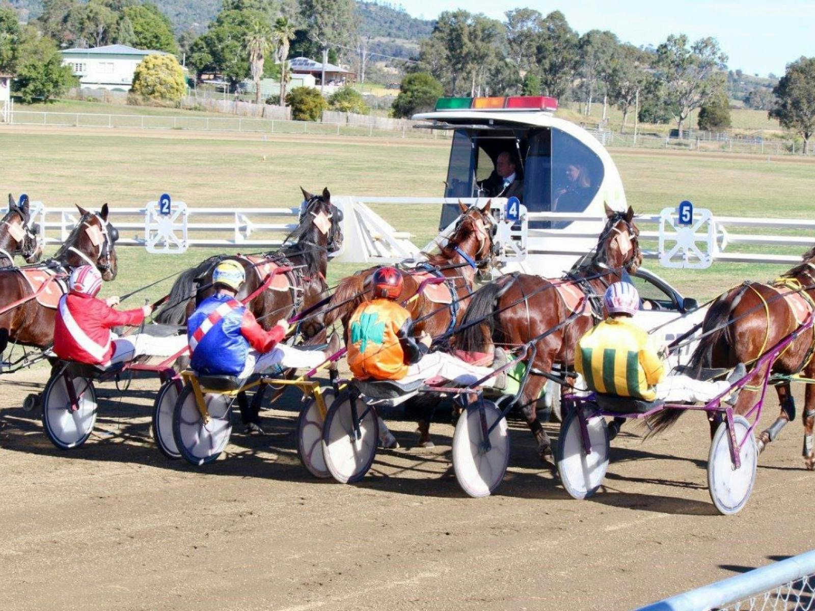 Marburg Pacing Association