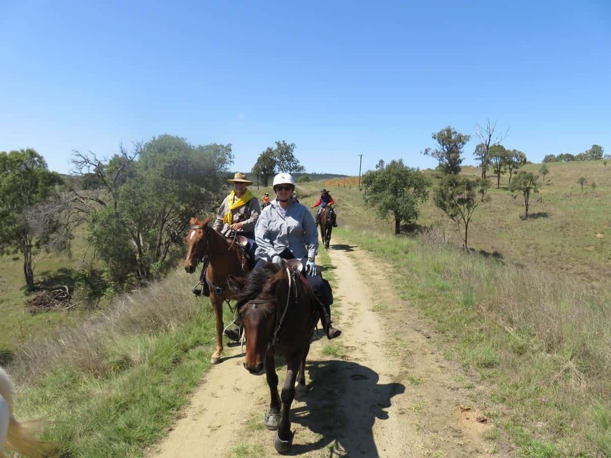 Pine Mountain Bridle trail