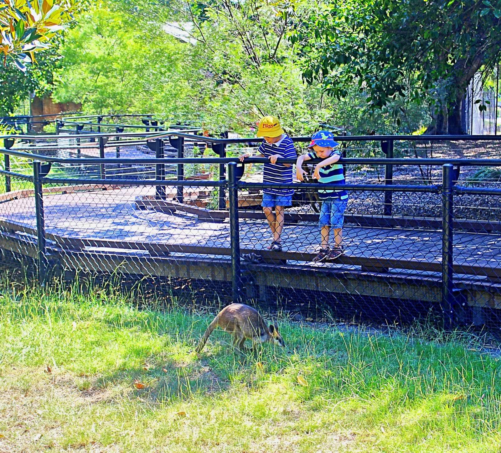 Ipswich Nature Centre