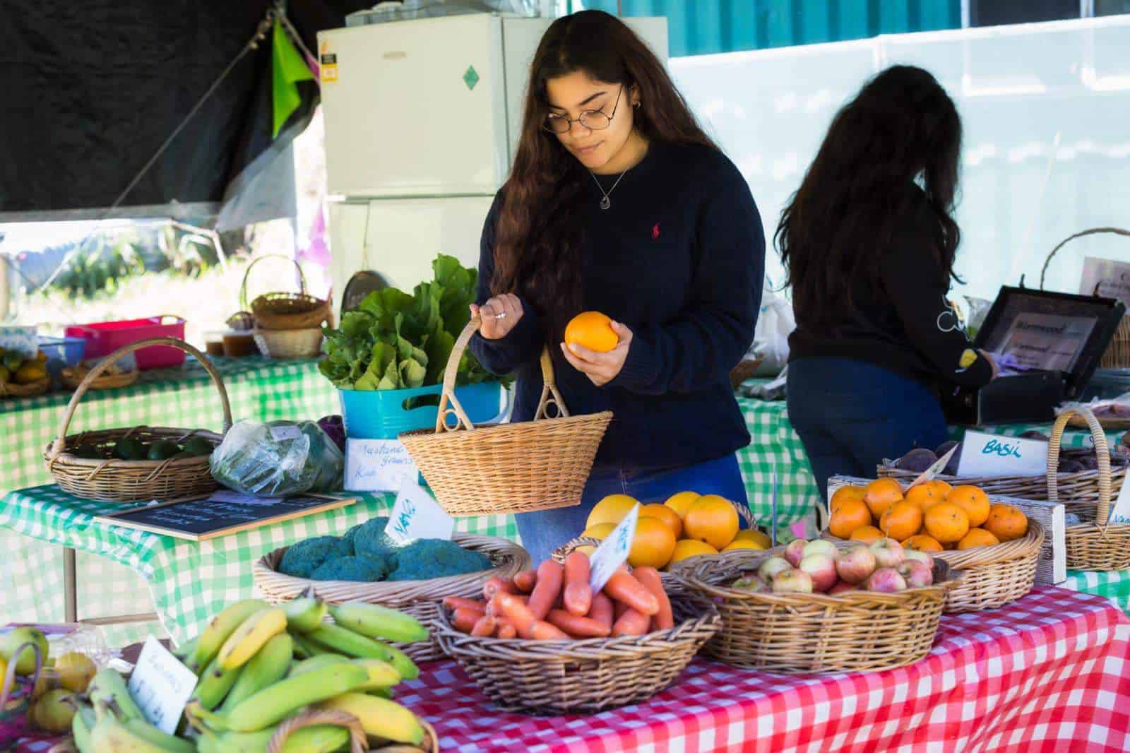 Peak Organics at Ivory's Rock