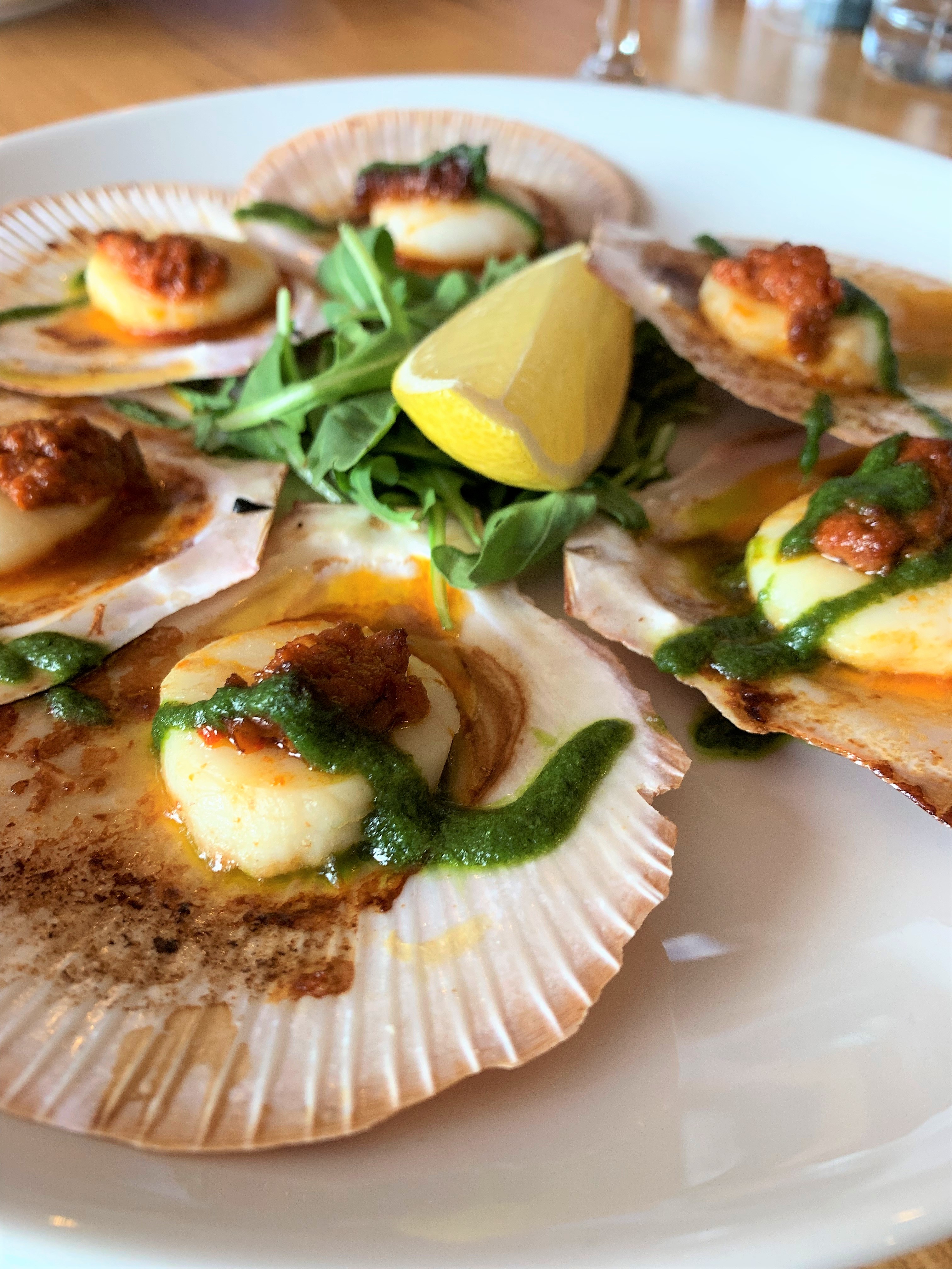 Scallops at Dovetails Scallops at Dovetails