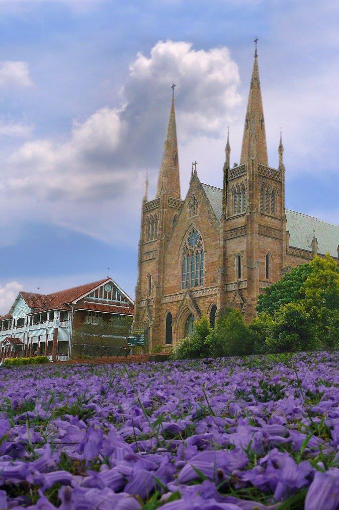 Lawn of Jacaranda Blooms St Mary's Ipswich PHOTO: Slater S Lawn of Jacaranda Blooms St Mary's Ipswich PHOTO: Slater S