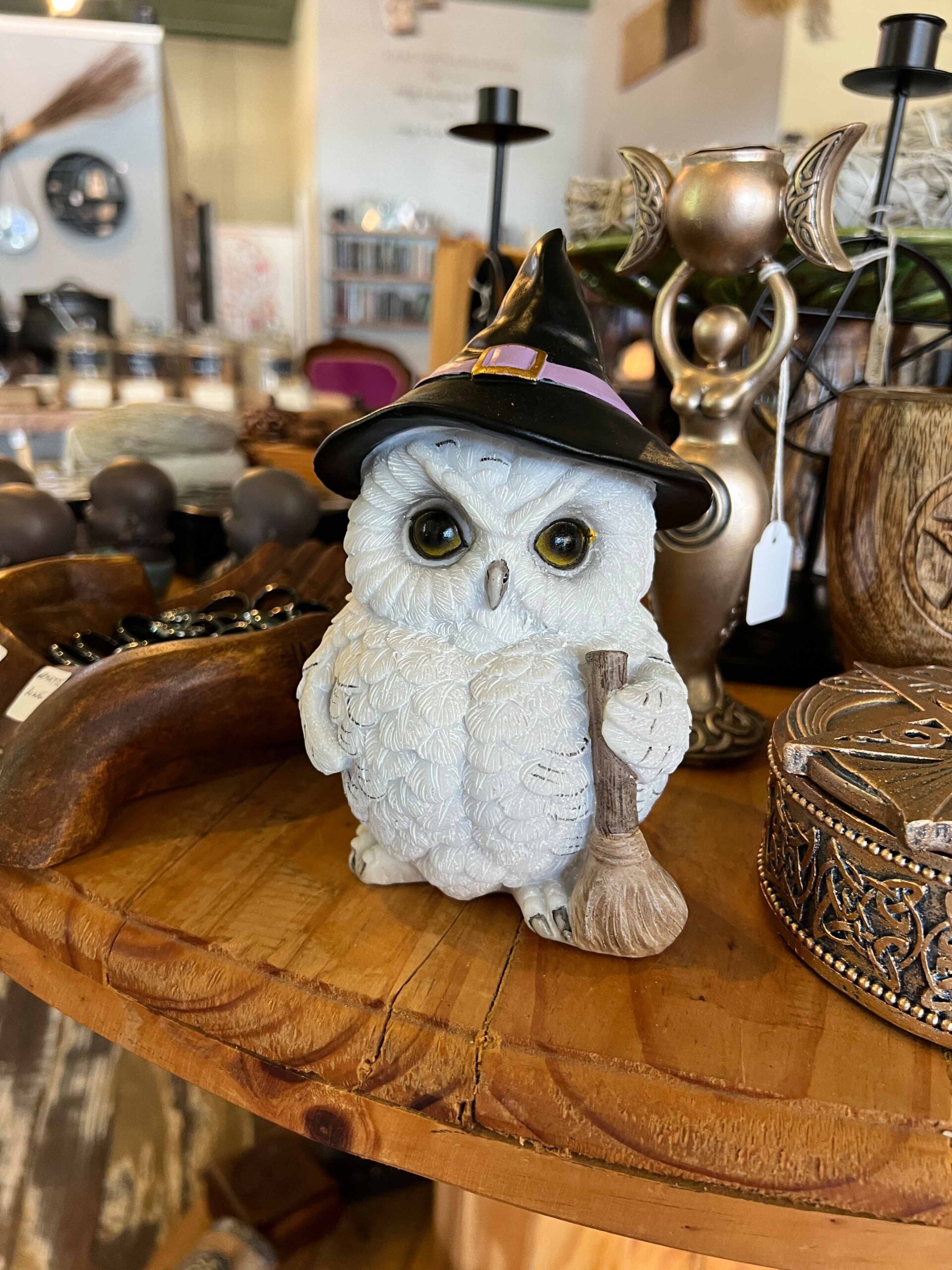 Owl at The Soul Cauldron Owl at The Soul Cauldron