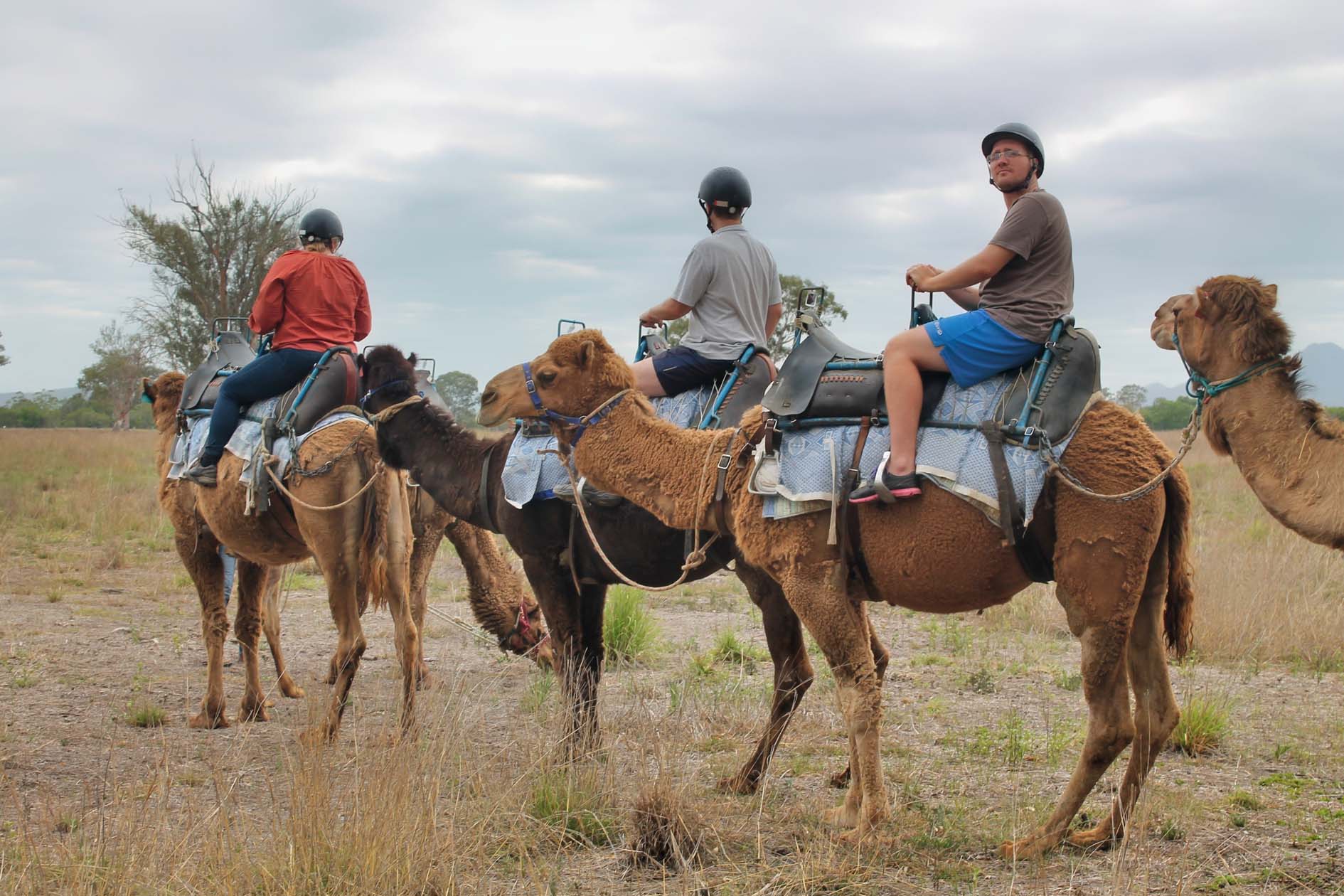 Sunrise ride Summer Land Camels_Image by Denise Cullen