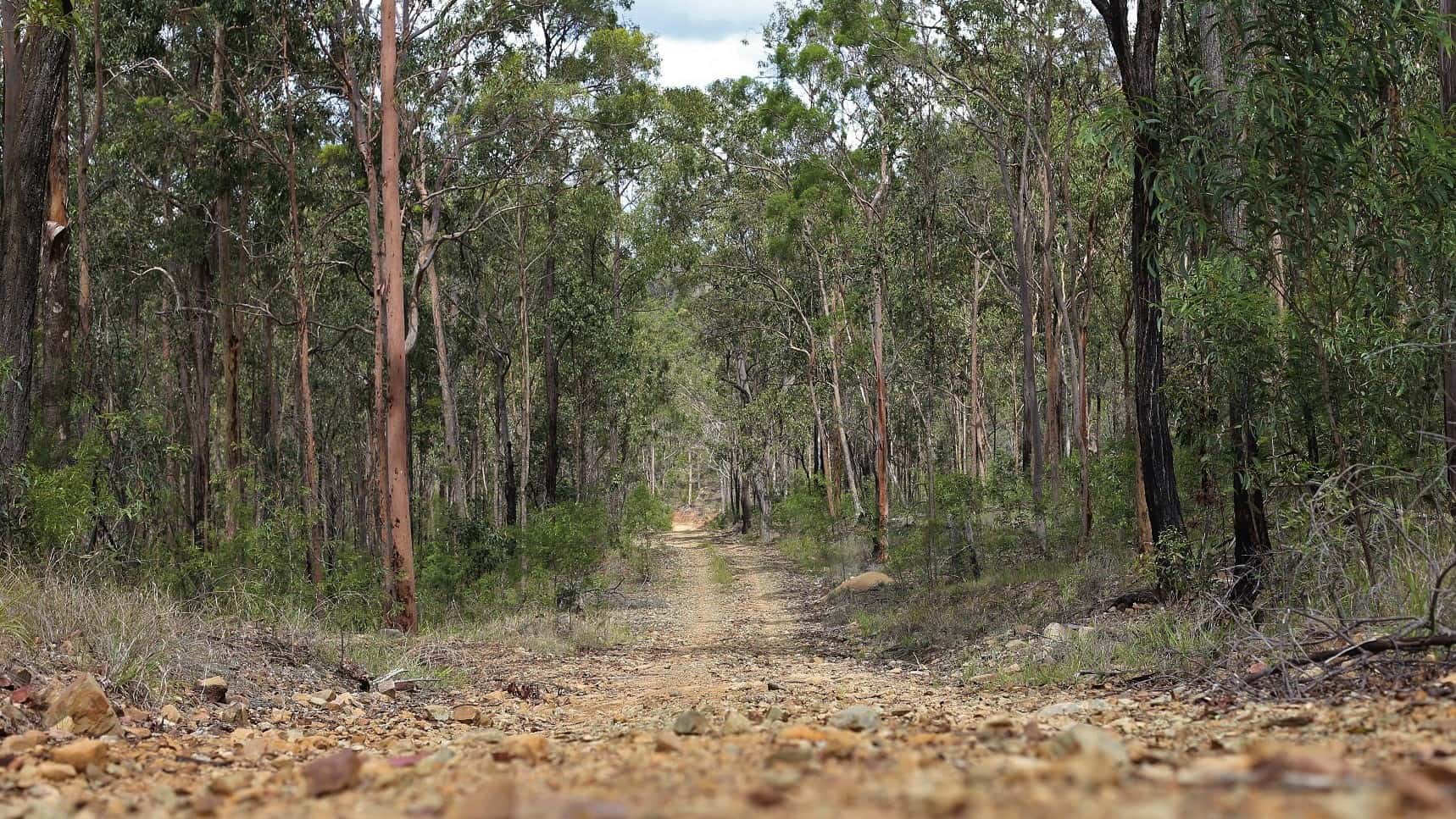 Susie Cunningham Yaddamun Trail White Roc