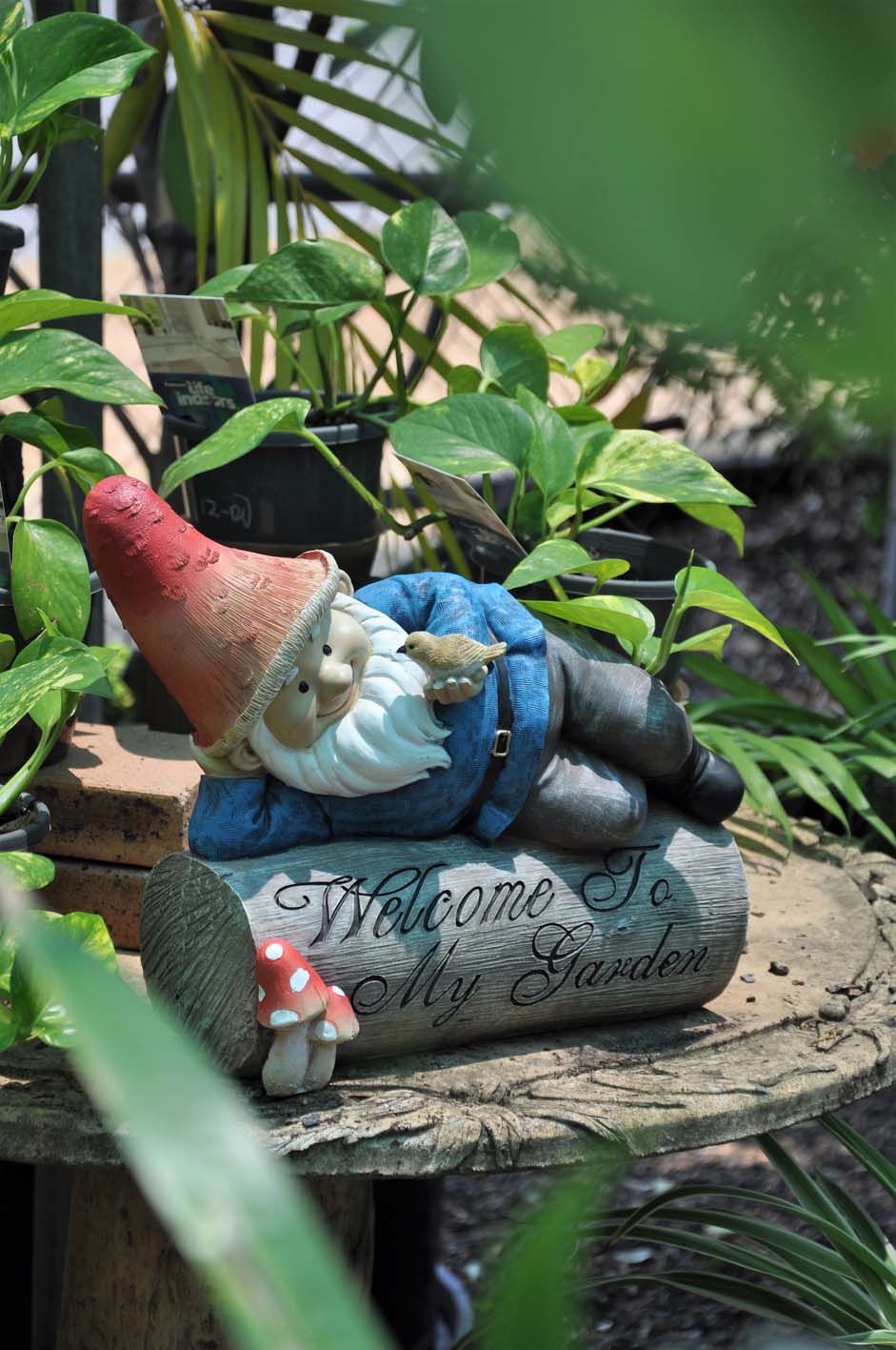 Gnome at Trevallan Lifestyle Centre Gnome at Trevallan Lifestyle Centre