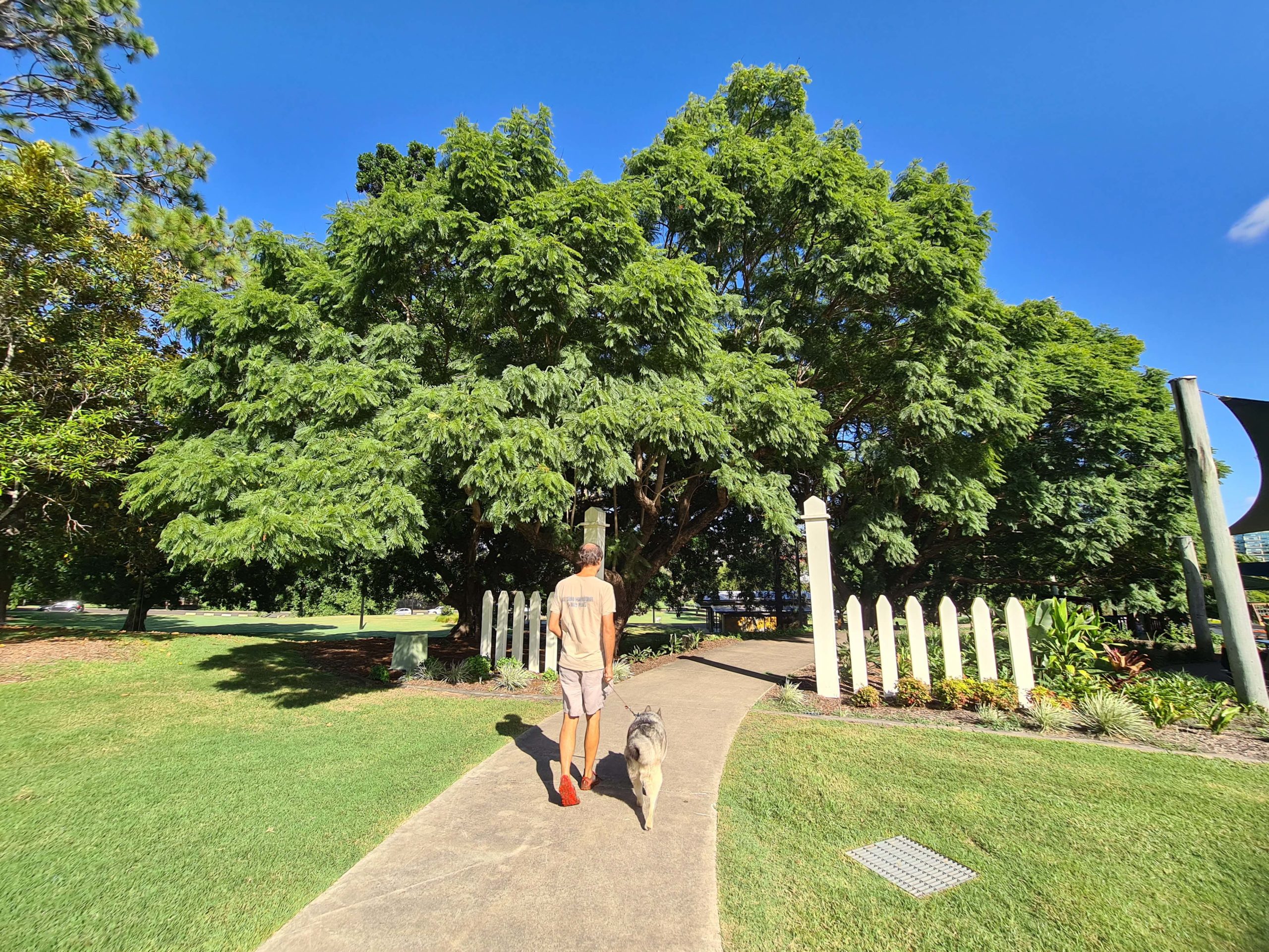 Take a dog-friendly getaway in Ipswich - Walking the dog on leash at Queens Park. Photo Credit - Kate Webster