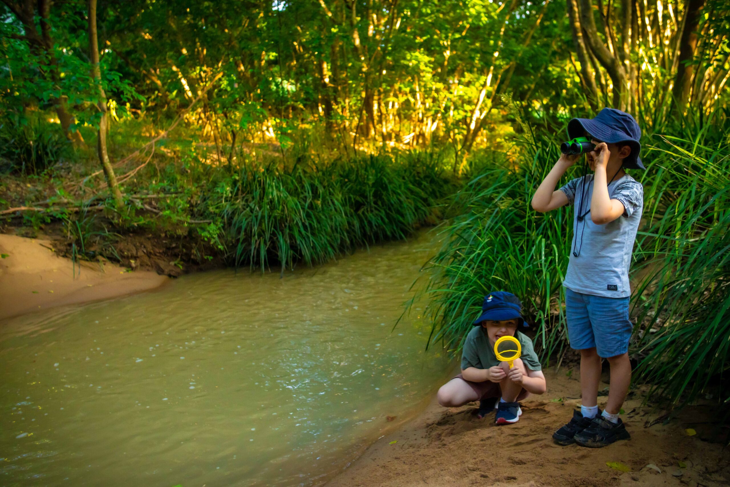 Bird watching along the creek Bird watching along the creek