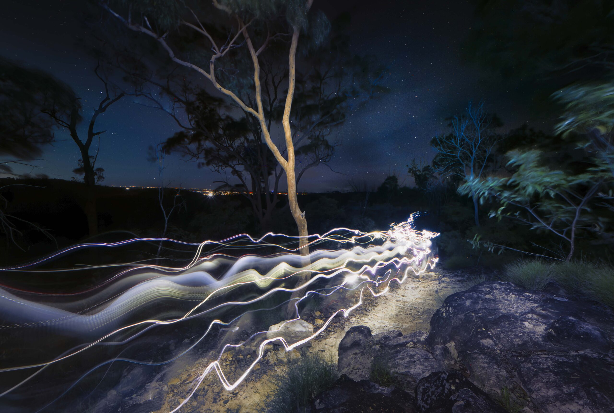 Nature at Night White Rock Spring Mountain Conservation Estate Discover Ipswich