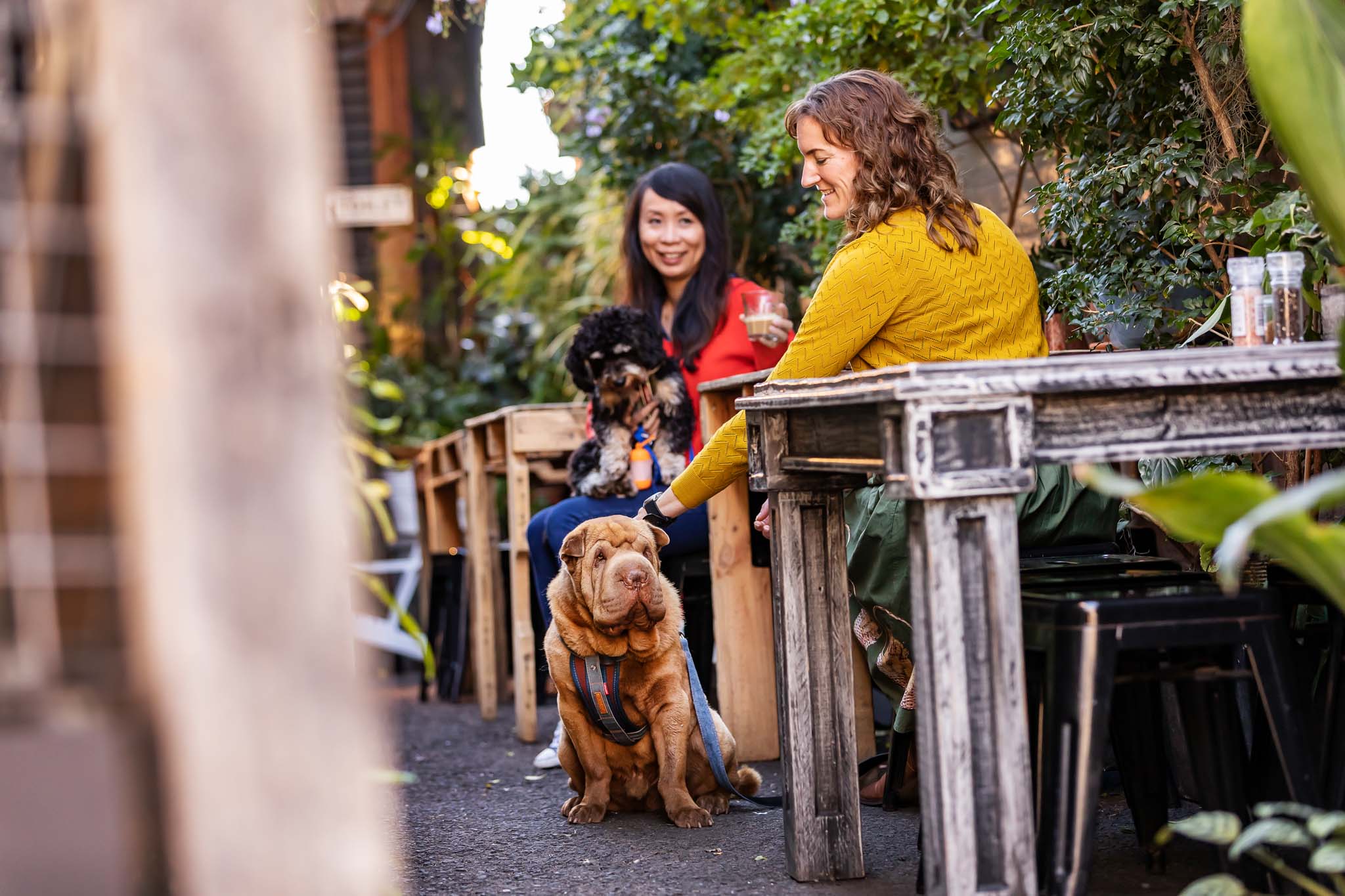 Dog friendly Rafter and Rose cafe is near Riverheart