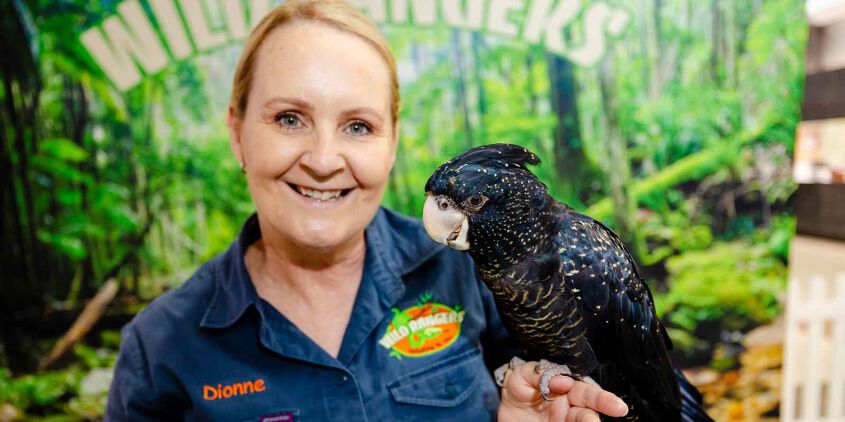 Creatures of the creek animal show