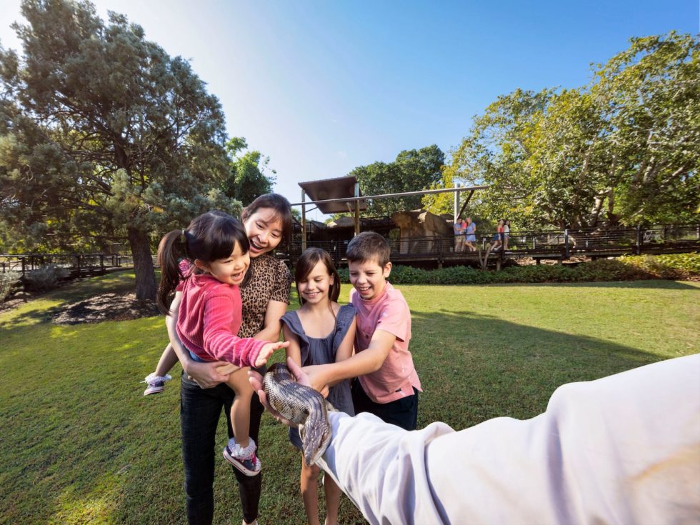 Animal Encounters at Ipswich Nature Centre Discover Ipswich