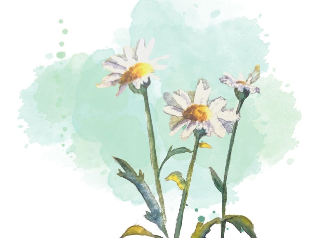 What's on Fun ideas to help you discover more of Ipswich this May