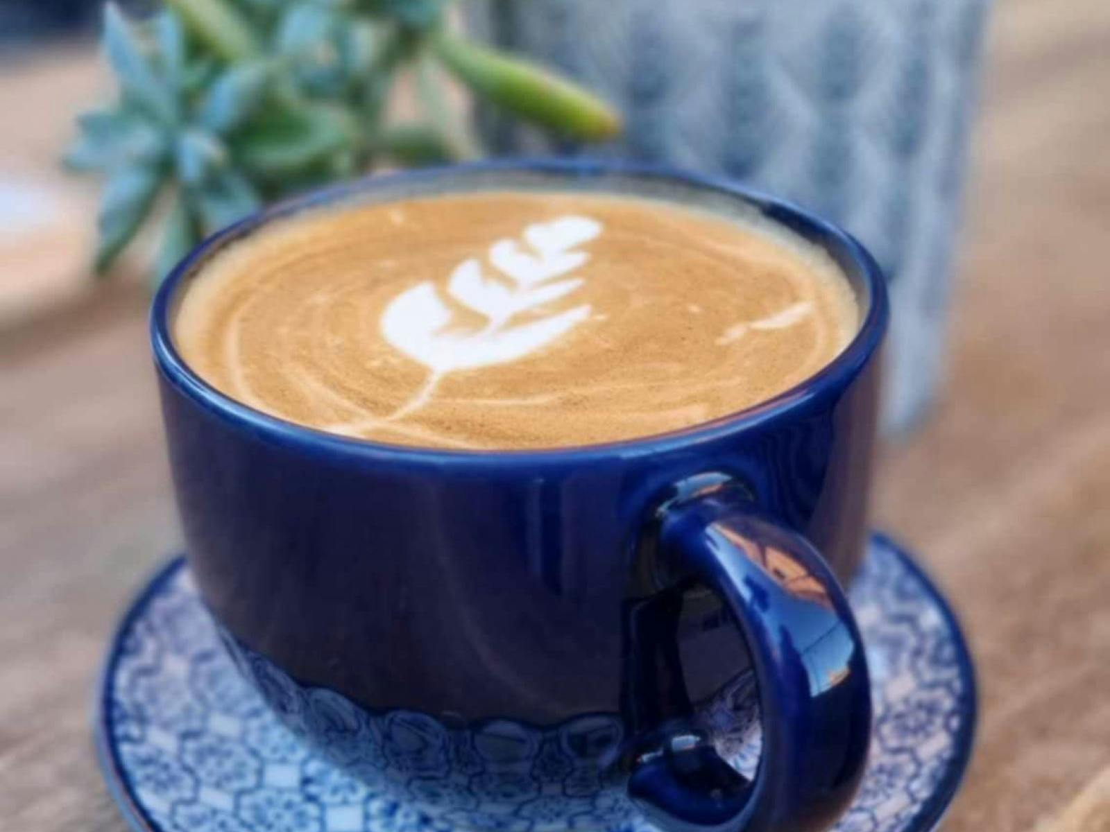 best coffee in ipswich, plant best coffee in ipswich, plant