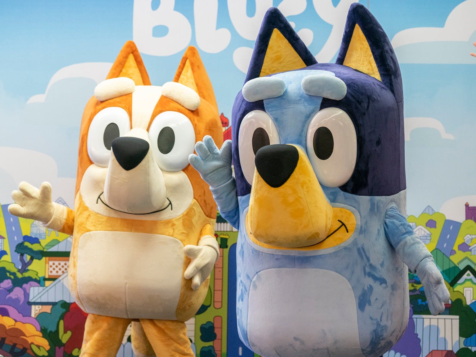 Bluey & Bingo Live Interactive Experience has performed in Ipswich at Tulmur Place