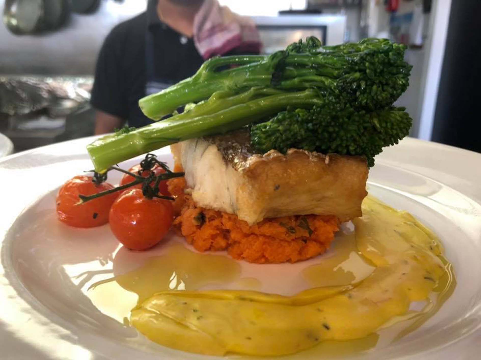 Brookwater Barista Salmon