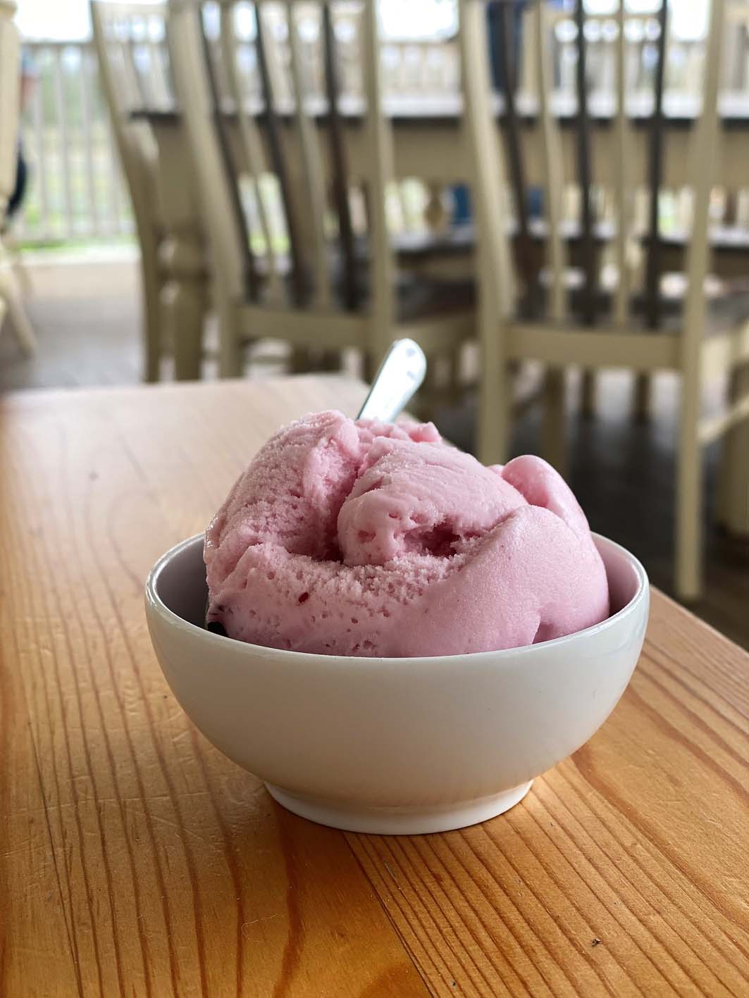 Camel milk gelato Camel milk gelato