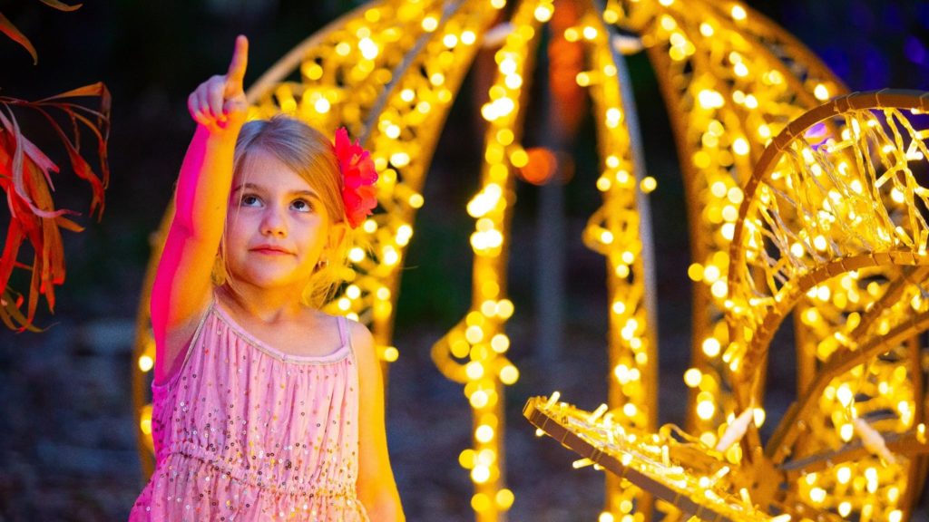 Christmas in Ipswich 2020 Discover Ipswich