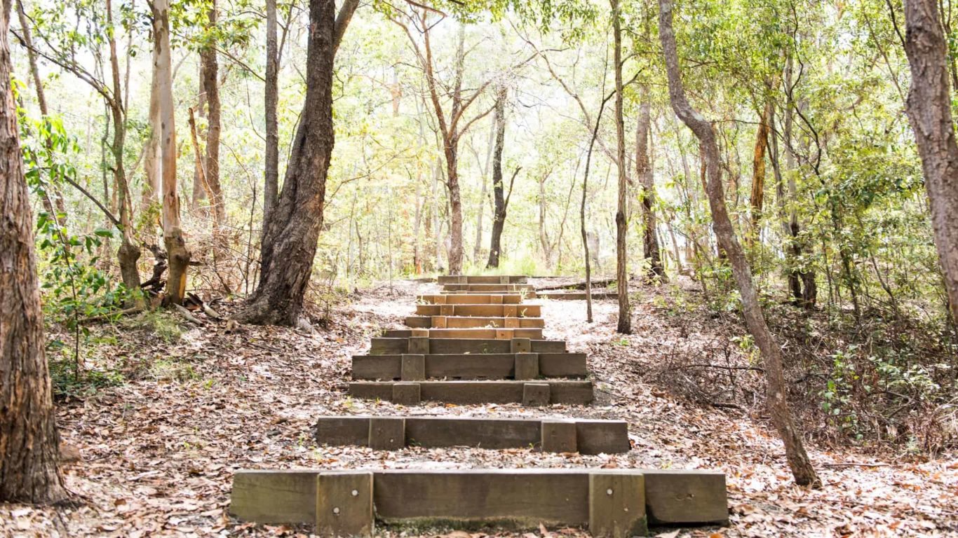 Denmark Hill Conservation Reserve Discover Ipswich