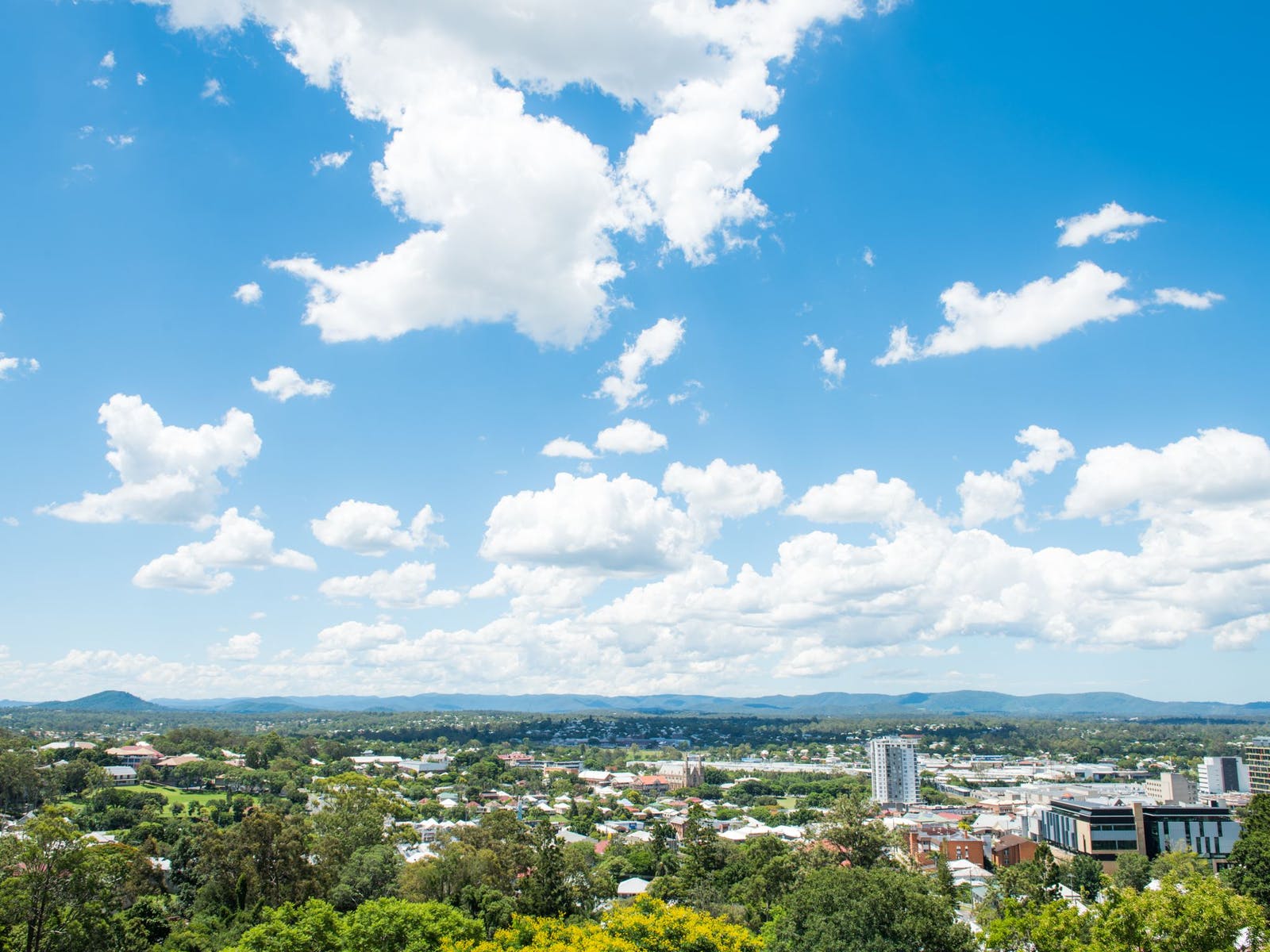 Denmark Hill Conservation Reserve Discover Ipswich