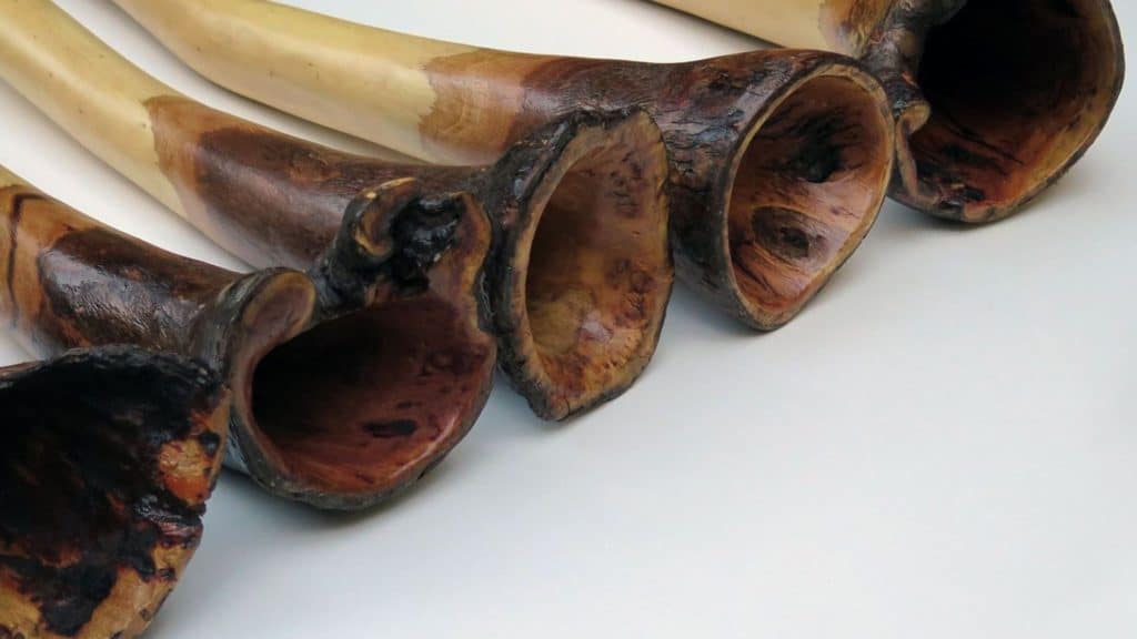 Didgeridoo Festivals Discover Ipswich