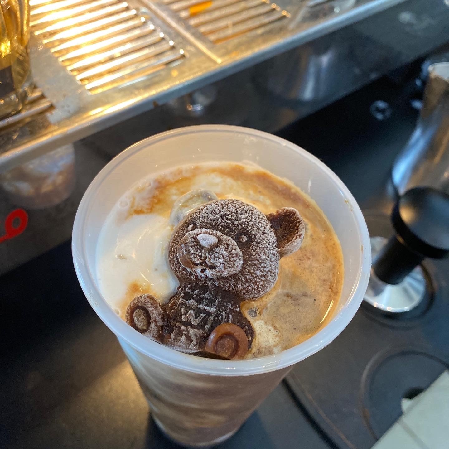 Woah Cafe Espresso bear