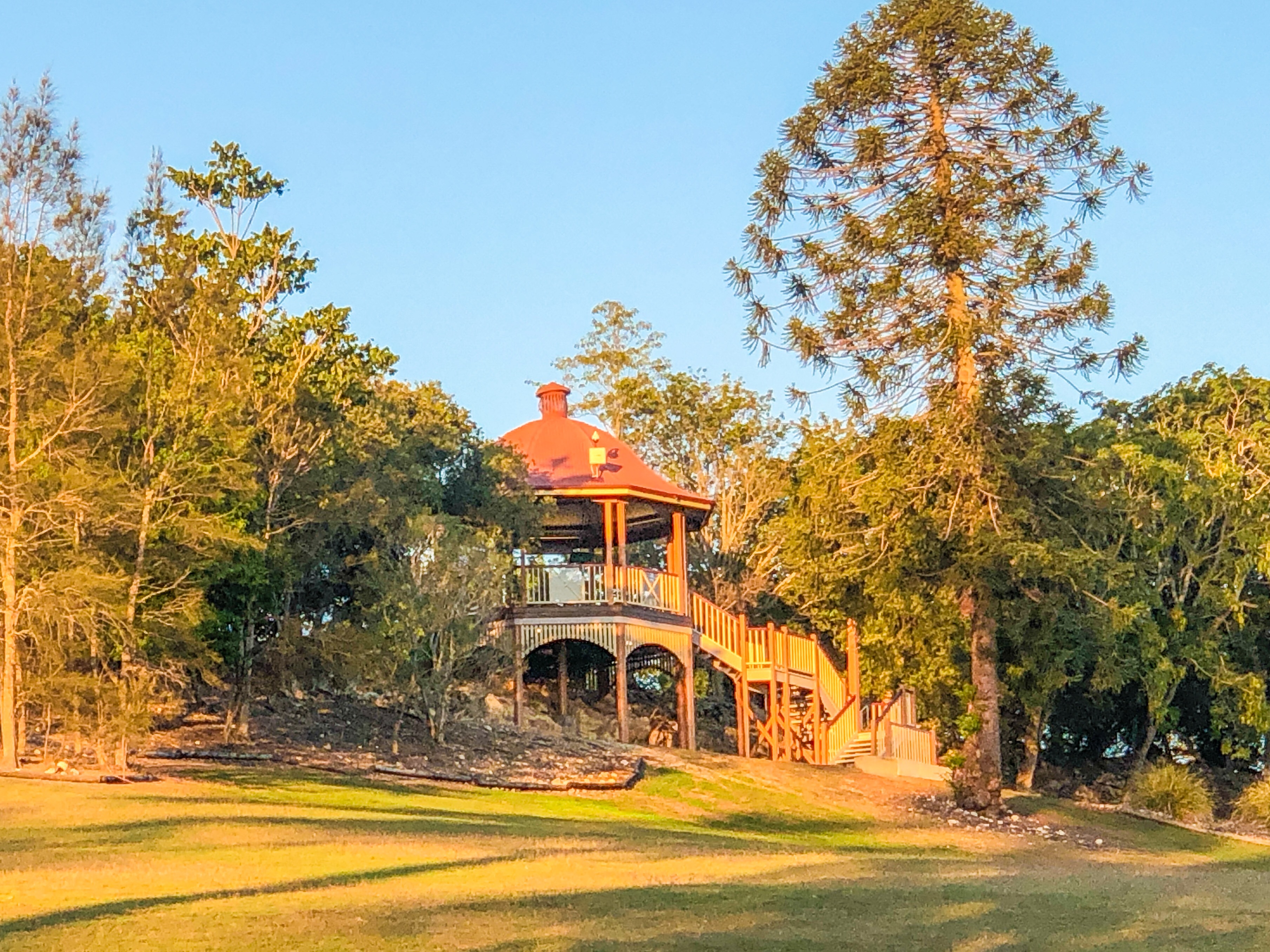 Lions Lookout