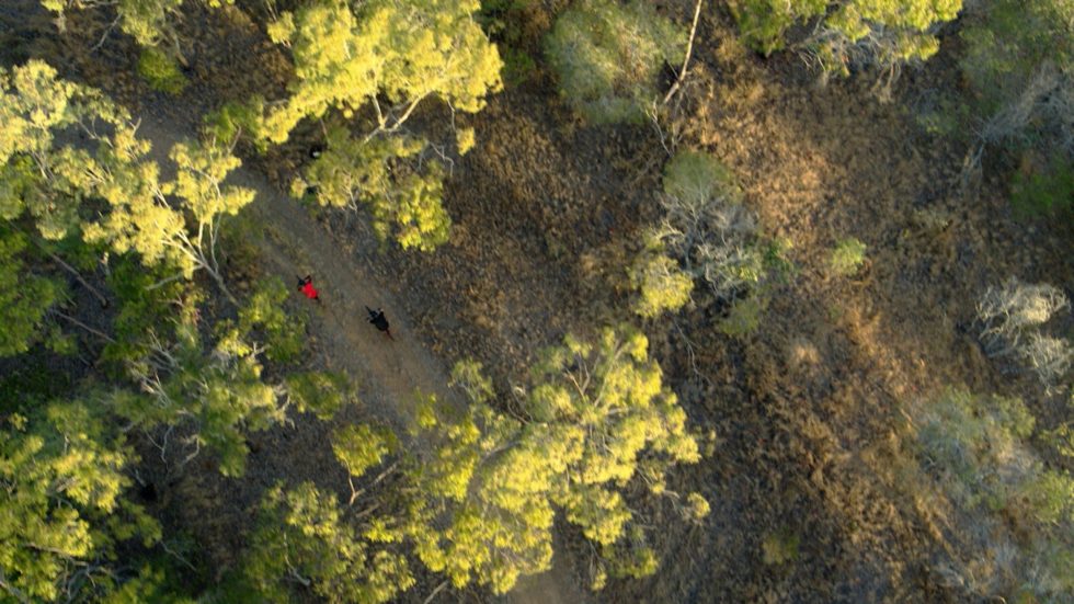 Hillview Drive Reserve Discover Ipswich